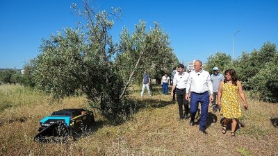 Gaziemir Belediyesi, park, yeşil alan ve boş arsalarda yürüttüğü ot