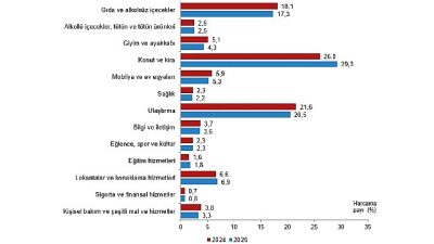 Hanehalkı bütçesinden en fazla pay konut ve kira harcamalarına ayrıldı