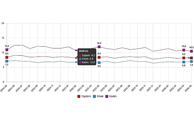 Mevsim etkisinden arındırılmış işsizlik oranı %8,2 seviyesinde gerçekleşti