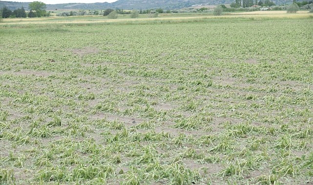 Kahramankazan’da aniden bastıran şiddetli dolu ve sağanak yağış, ilçeyi adeta