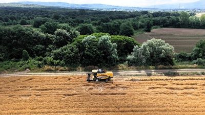 Kocaeli Büyükşehir Belediyesi’nin tarım ve hayvancılığı desteklemek amacıyla sürdürdüğü “Yem