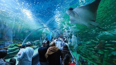 Körfez Aqua Kıtalar Akvaryumu, açılışının ilk gününde 15.150 kişiyi ağırlayarak