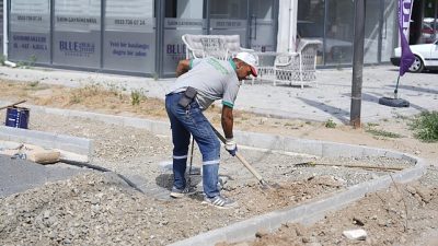 Burhaniye Belediyesi Park ve Bahçeler Müdürlüğü ekipleri, ilçe genelinde yürüttüğü