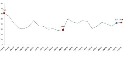 Tarım ürünleri üretici fiyat endeksi (Tarım-ÜFE) yıllık %43,08 arttı, aylık