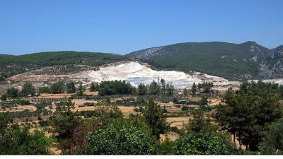TEMA Vakfı, 5 Haziran Dünya Çevre Günü kapsamında yaptığı açıklamada