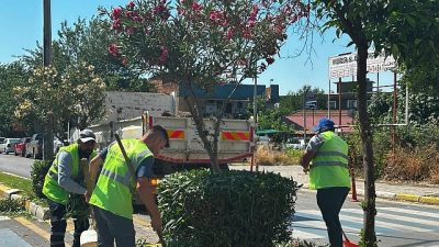 Çerçioğlu, 17 ilçenin tamamında vatandaşları hizmet ve çalışmalarla buluşturmaya devam