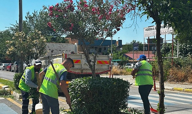 Çerçioğlu, 17 ilçenin tamamında vatandaşları hizmet ve çalışmalarla buluşturmaya devam