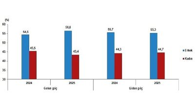 Yurt dışından Türkiye'ye 393 bin 829 kişi göç etti