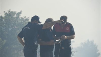 İzmir’in Dikili ilçesine bağlı Çandarlı Mahallesi’nde zeytinlik alanda başlayıp ormanlık