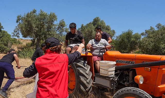 Akyeniköy’de Çıkan Yangın Kısa Süre İçerisinde Kontrol Altına Alındı Alevler Rüzgârın Etkisiyle Kısa Sürede Yayıldı