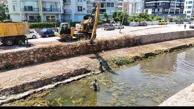 Antalya Büyükşehir Belediyesi ASAT Genel Müdürlüğü, sivrisinek oluşumu, kötü kokular