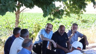 Konya Büyükşehir Belediye Başkanı Uğur İbrahim Altay, Altınekin’de buğday hasadı
