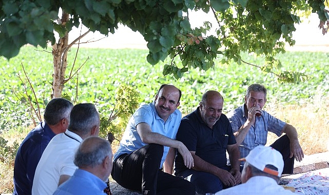 Başkan Altay Altınekin’de Hasat Yaptı Konya Büyükşehir Belediye Başkanı Uğur İbrahim Altay, Altınekin’de buğday hasadı