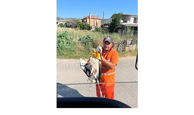 Belediye İşçisi, Görevi Sırasında Bulduğu Yaralı Leyleğin İmdadına Yetişti Milas Belediyesi Temizlik İşleri Müdürlüğü bünyesinde görev yapan Ufuk Güçlü,