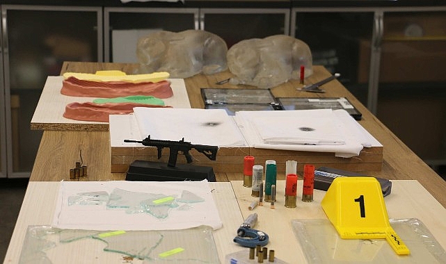 Üsküdar Üniversitesi Rektör Yardımcısı, Bağımlılık ve Adli Bilimler Enstitüsü Müdürü