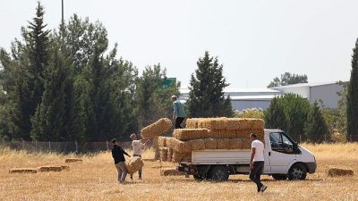 Buca Belediyesi, köyler bölgesinde hayvancılıkla geçinen üreticilere ücretsiz saman balyası