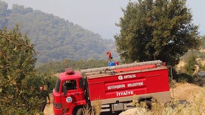 Antalya Büyükşehir Belediyesi, Kaş ilçesine bağlı Üzümlü Mahallesi'nde çıkan orman