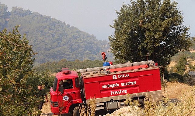 Antalya Büyükşehir Belediyesi, Kaş ilçesine bağlı Üzümlü Mahallesi'nde çıkan orman