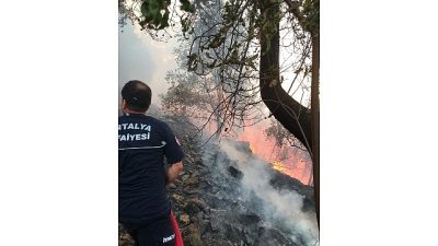 Antalya Büyükşehir Belediyesi İtfaiye Dairesi Başkanlığı ekipleri, son günlerde art