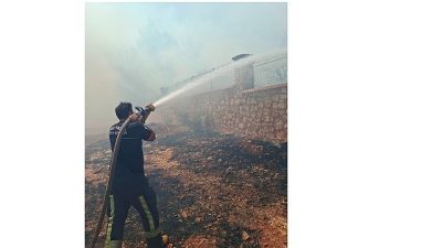 Antalya'nın Kepez ilçesi Çamlıca Mahallesi'nde çıkan orman yangınına Antalya Büyükşehir