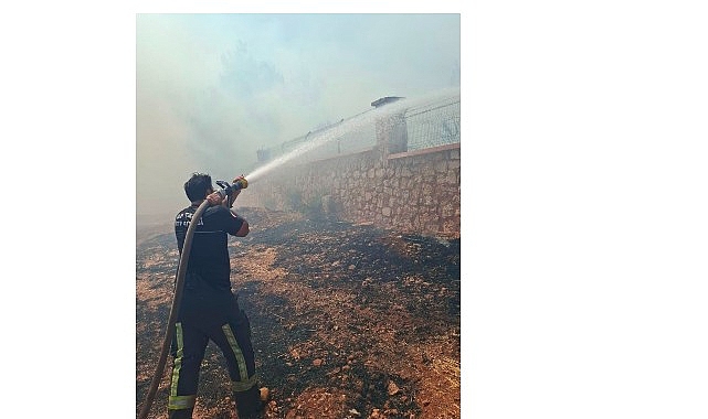 Büyükşehir İtfaiyesi’nden orman yangınına müdahale Antalya'nın Kepez ilçesi Çamlıca Mahallesi'nde çıkan orman yangınına Antalya Büyükşehir