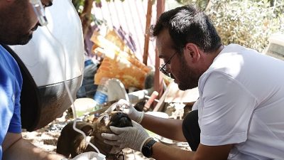 Antalya Büyükşehir Belediyesi, Kumluca’nın Yazır Mahallesi’nde meydana gelen orman yangınının
