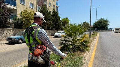 Aydın Büyükşehir Belediyesi, kent genelindeki park ve yeşil alanlarda bakım,