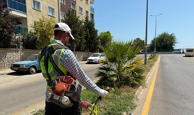Aydın Büyükşehir Belediyesi, kent genelindeki park ve yeşil alanlarda bakım,