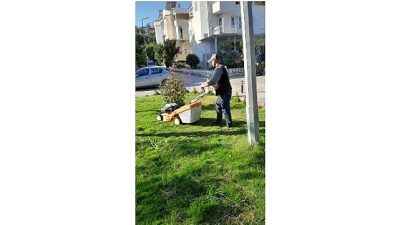 Didim Belediyesi, parklar, yeşil alanlar, yol kenarları ve ortak kullanım