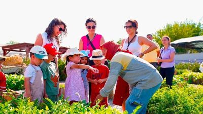Didim Belediyesi'nin Akköy Tıbbi Aromatik Bitkiler ve Süs Bitkileri Fidanlığı