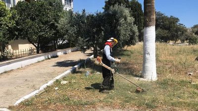 Didim Belediyesi, kent estetiğini güçlendirmek amacıyla yürüttüğü peyzaj ve bakım