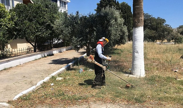Didim Belediyesi’nden Kente Özenli Dokunuş: Kendi Üretimi Çiçekler Toprakla Buluşuyor Didim Belediyesi, kent estetiğini güçlendirmek amacıyla yürüttüğü peyzaj ve bakım