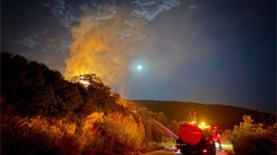 İzmir’in Dikili ilçesine bağlı Bademler Mahallesi’ndeki Yahşi Tepesi'nde makilik alanda