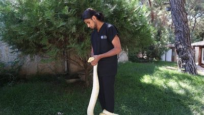 Antalya Büyükşehir Belediyesi Doğal Yaşam Parkı, 16 Temmuz Dünya Yılan