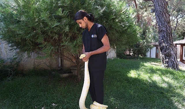 Doğal Yaşam Parkı’nda dünya yılan günü etkinliği Antalya Büyükşehir Belediyesi Doğal Yaşam Parkı, 16 Temmuz Dünya Yılan