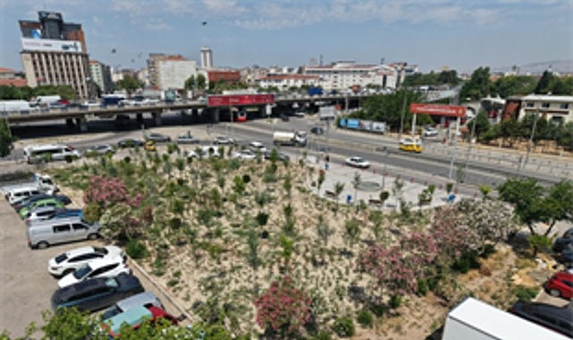 Eski Benzinlik yeşile dönüştü Kemer’deki atıl alan, İzmir Büyükşehir Belediyesi’nin çalışmasıyla mikro ormana dönüştü.