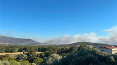 İzmir’in Foça ilçesinde Foça Deniz Üs Komutanlığı civarında çıkan orman