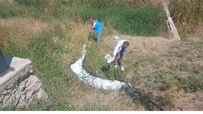 Kahramankazan Belediyesi Veteriner İşleri Müdürlüğü ekipleri, yaz aylarında artış gösteren