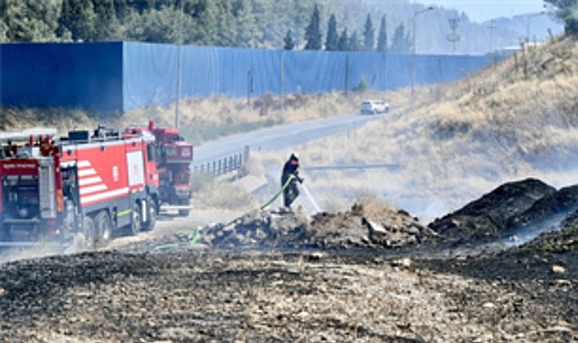 İzmir İtfaiyesi bukalemunu hayata döndürdü Bornova ilçesi Gökdere Mahallesi’nde çıkan orman yangınına İzmir İtfaiyesi ile