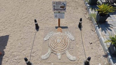 Kemer Belediyesi, çevrenin korunması, deniz kirliliğinin önlenmesi, halk sağlığının desteklenmesi