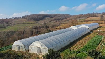 İklim kriziyle mücadele eden dünyanın en kritik sorunu haline gelen