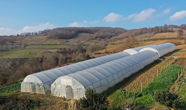 Kocaeli Büyükşehir, tarımı geleceğe taşıyor İklim kriziyle mücadele eden dünyanın en kritik sorunu haline gelen