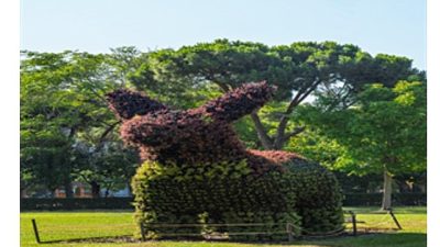 İzmir Büyükşehir Belediyesi, Kültürpark'ta yürüttüğü gençleştirme çalışmaları kapsamında ayı, köpek
