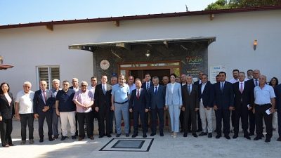 Cennet meyvesi kuru incirin ihracat yolculuğunun rahat ve konforlu geçmesi