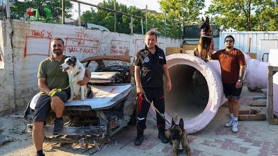 Maltepe Belediyesi, AFAD koordinasyonunda yürüttüğü “Köpekli Arama Kurtarma Eğitimleri” ile