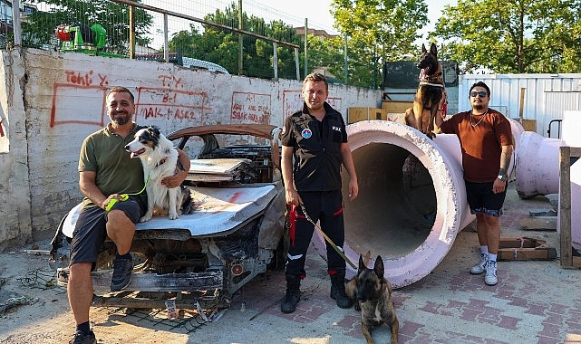 Maltepe Belediyesi, AFAD koordinasyonunda yürüttüğü “Köpekli Arama Kurtarma Eğitimleri” ile