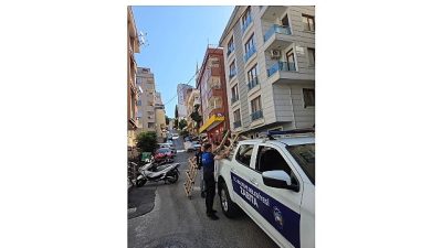 Kamusal alanlar yeniden yayaların kullanımına açıldı, kaldırımları işgal eden malzemeler