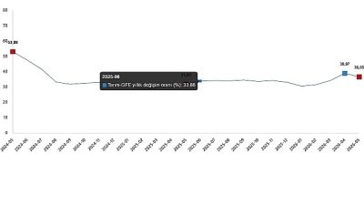Tarımsal girdi fiyat endeksi (Tarım-GFE) yıllık %36,65 arttı, aylık %0,44