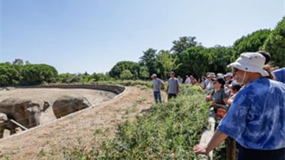 İzmir Büyükşehir Belediyesi'nin Sasalı Doğal Yaşam Parkı'nda düzenlediği gezi programında