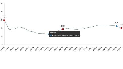 Yurt Dışı Üretici Fiyat Endeksi (YD-ÜFE) yıllık %30,33 arttı, aylık